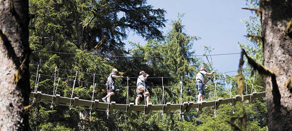 People walking on rope bridge