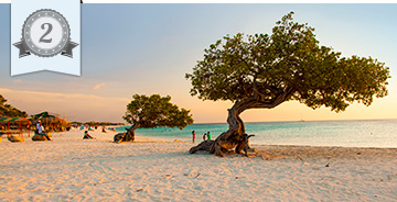 Divi tree on Aruba beach