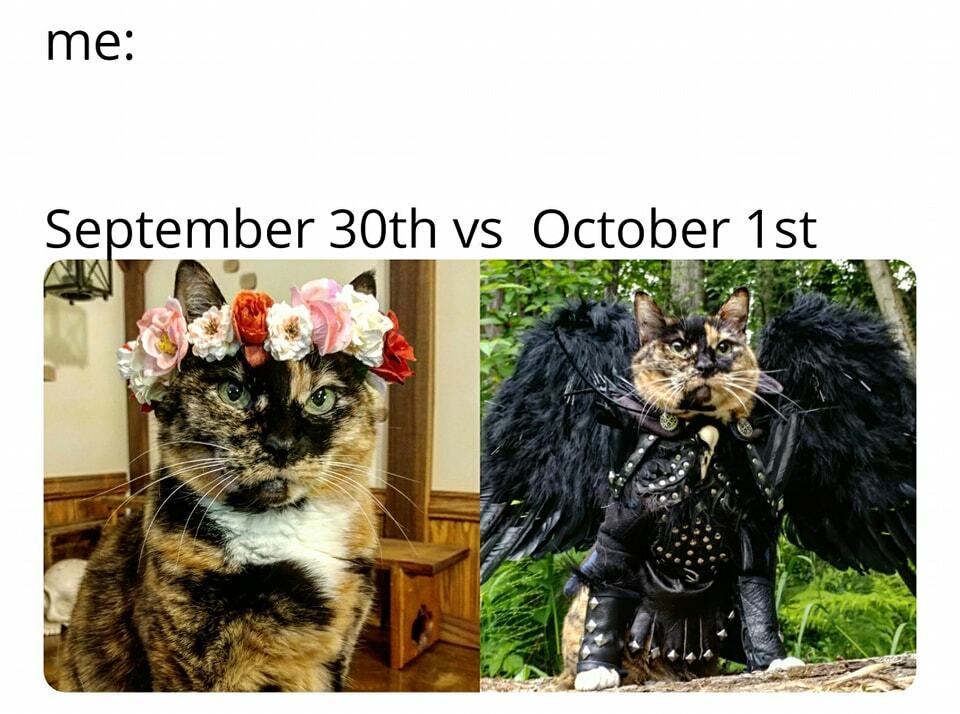 sept vs oct.jpg