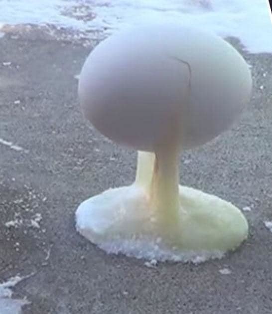 frozen egg.jpg