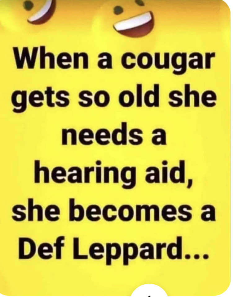 old cougar.jpg