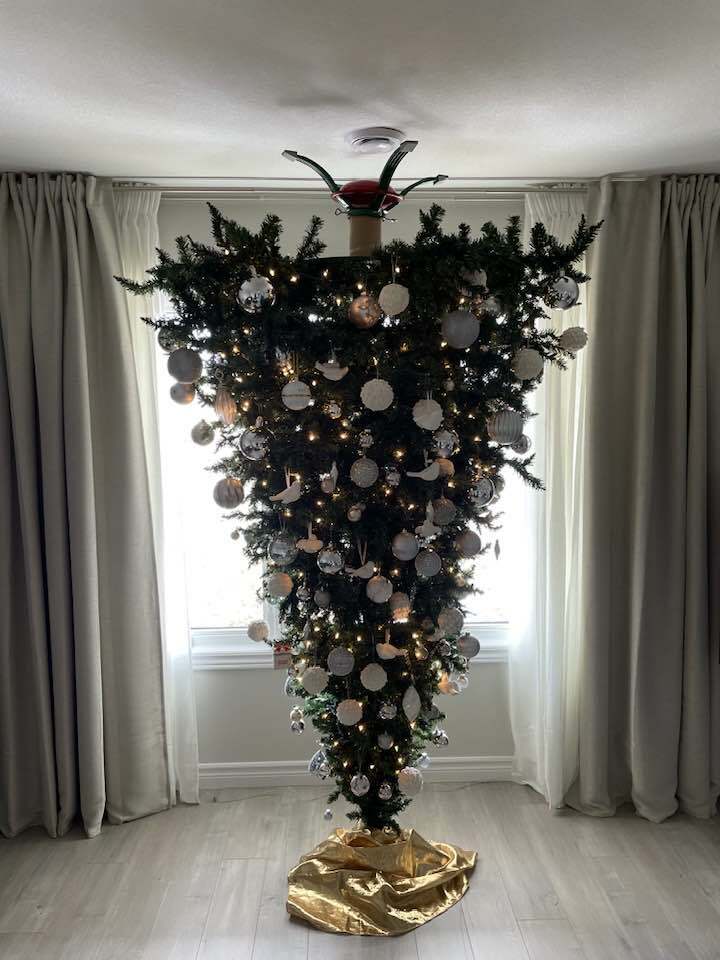 xmas-tree_n.jpg