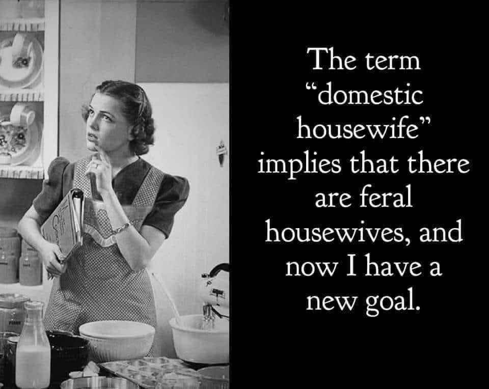 feral housewife.jpg