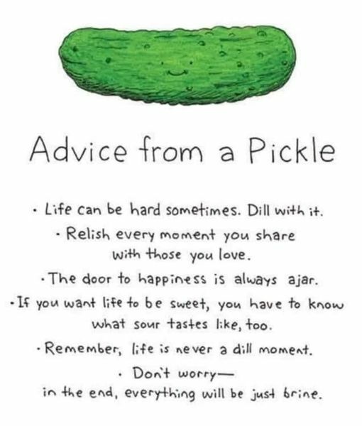 advice from a pickle.jpg
