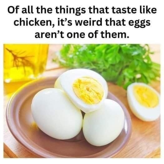 eggs taste like.jpg