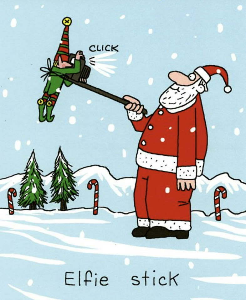 elfie-stick_n.jpg