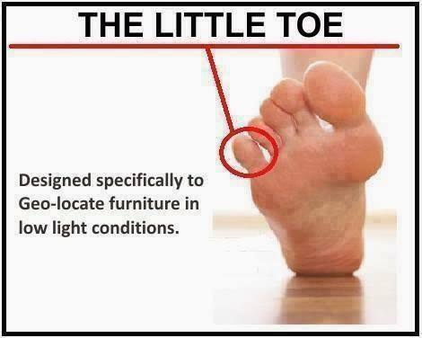 little toe.jpg