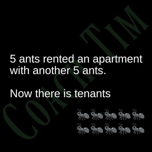 ants.jpg