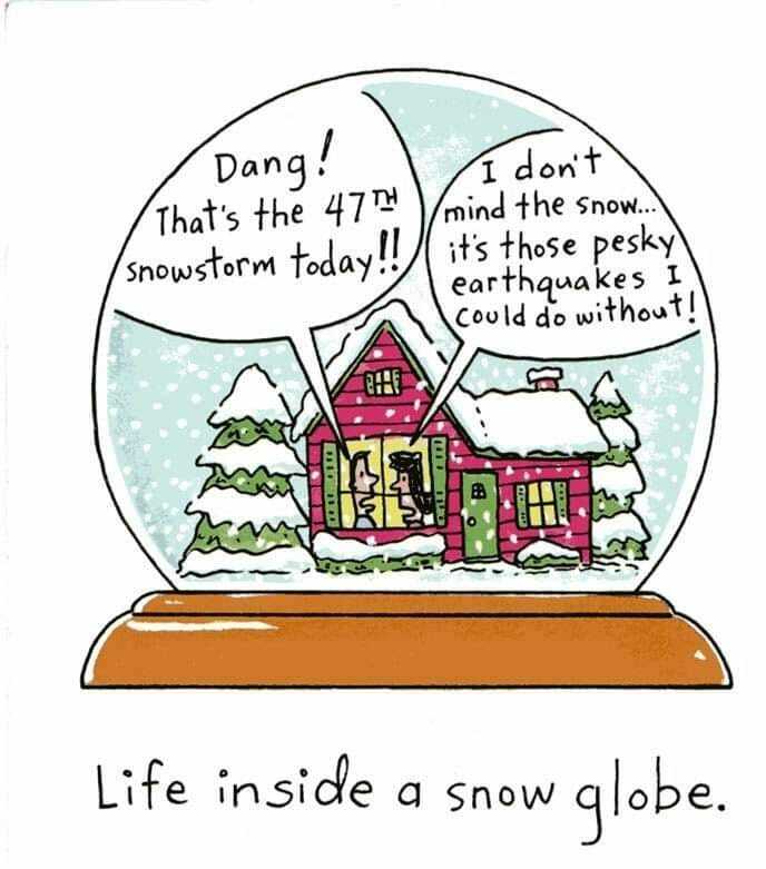 snow globe.jpg