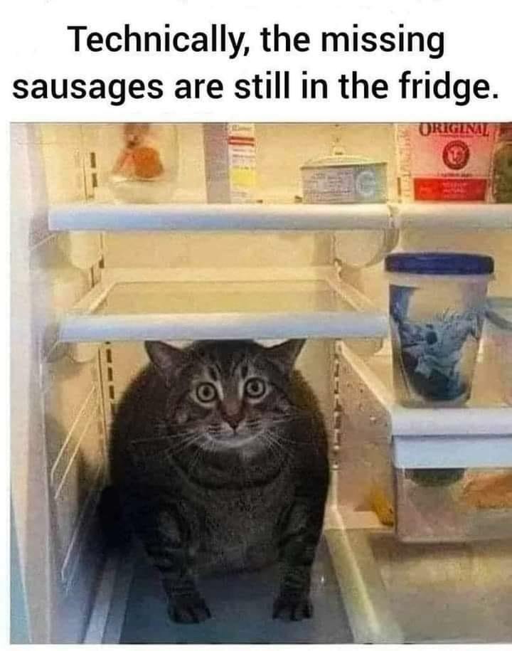 missing sausage in the fridge.jpg