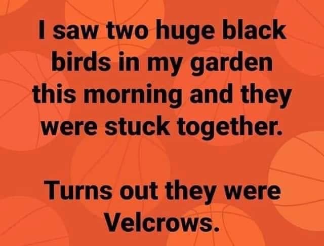 velcrows.jpg