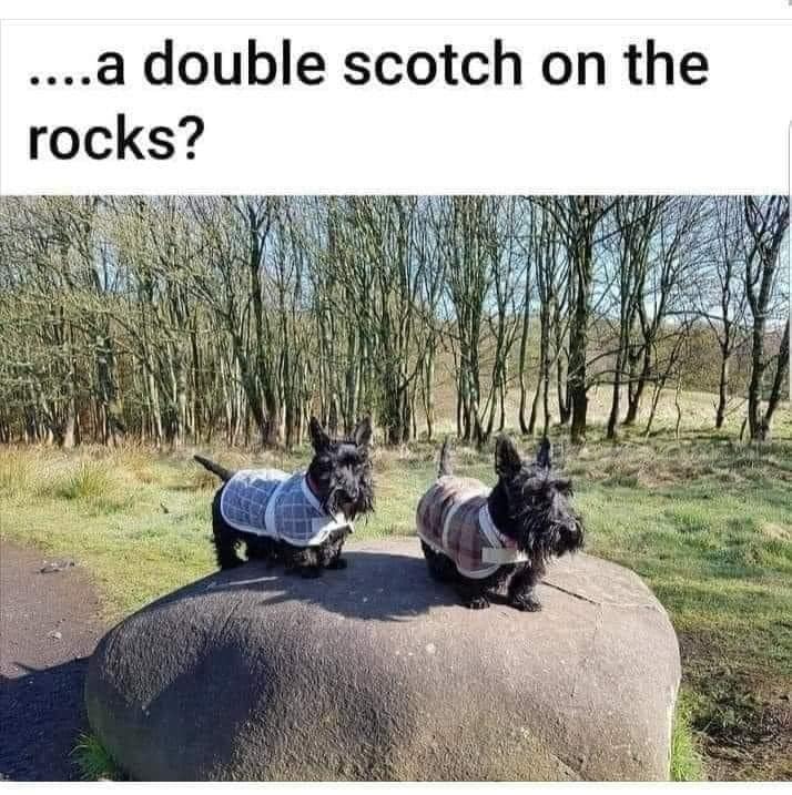 double scotch on the rocks.jpg