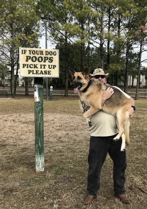 If dog poops.jpg