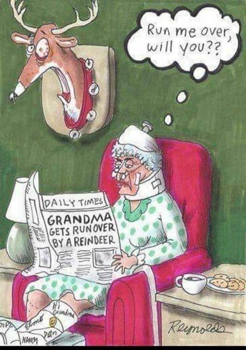 grandma and reindeer.jpg