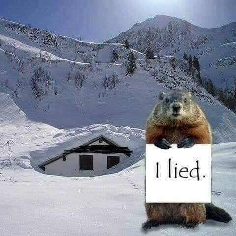 ground hog lie.jpg