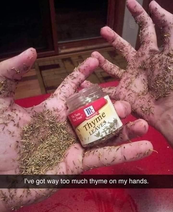 thyme_n.jpg