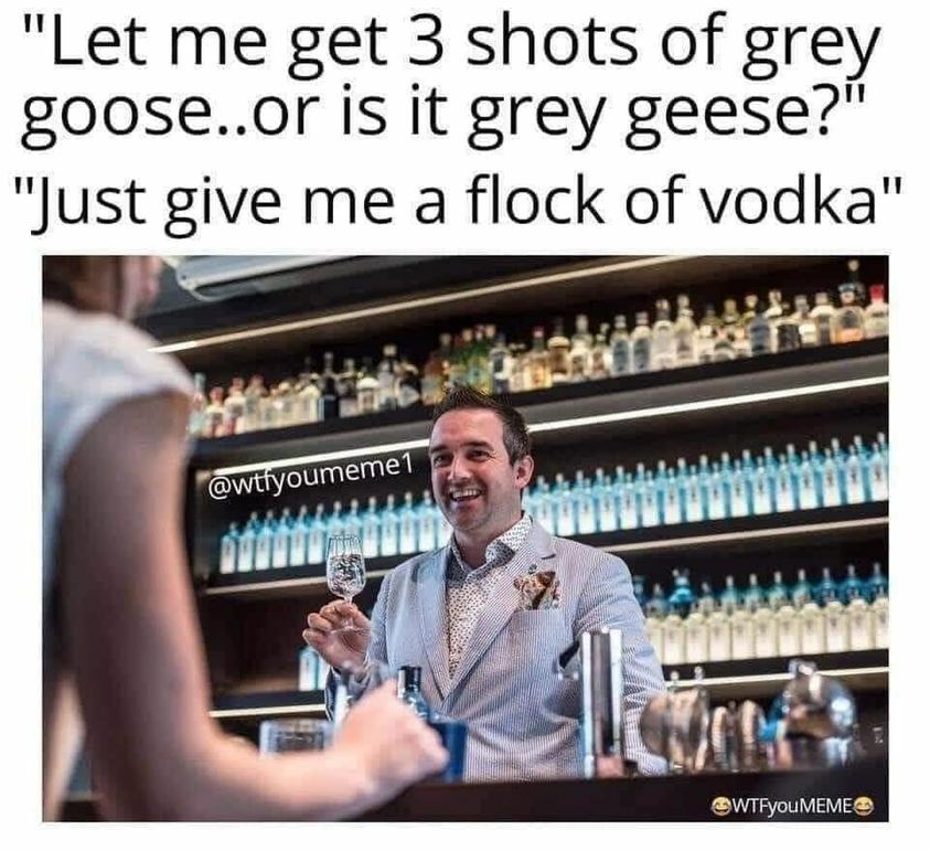 grey goose.jpg