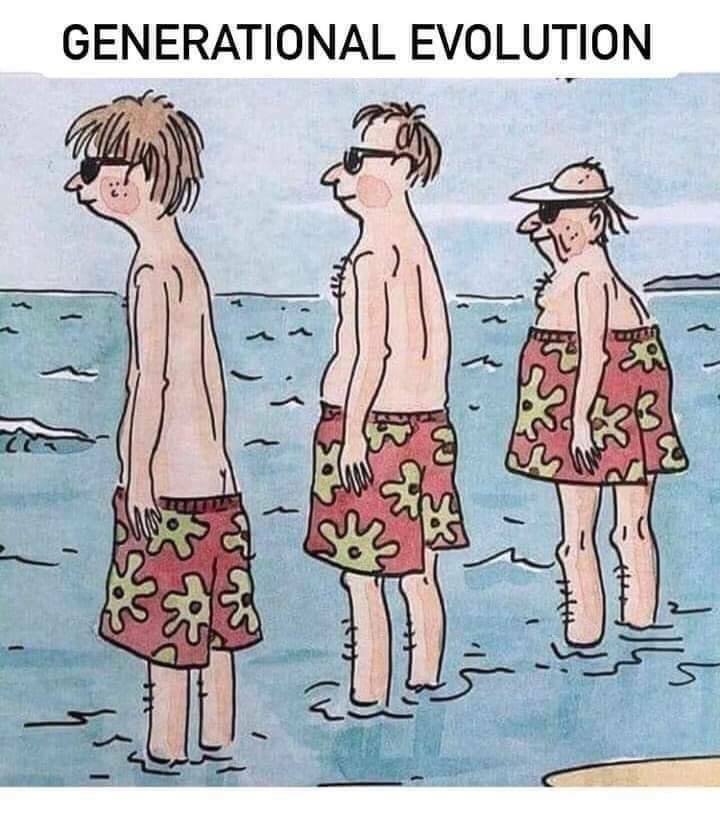 evolution_n.jpg