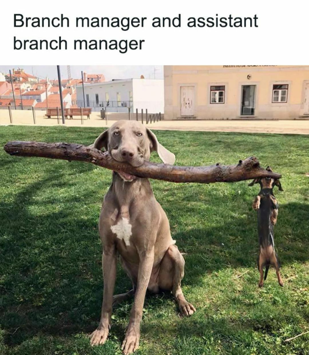 branch-manager_n.jpg