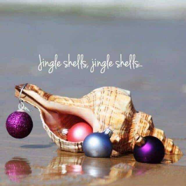 jingle-shells_n.jpg