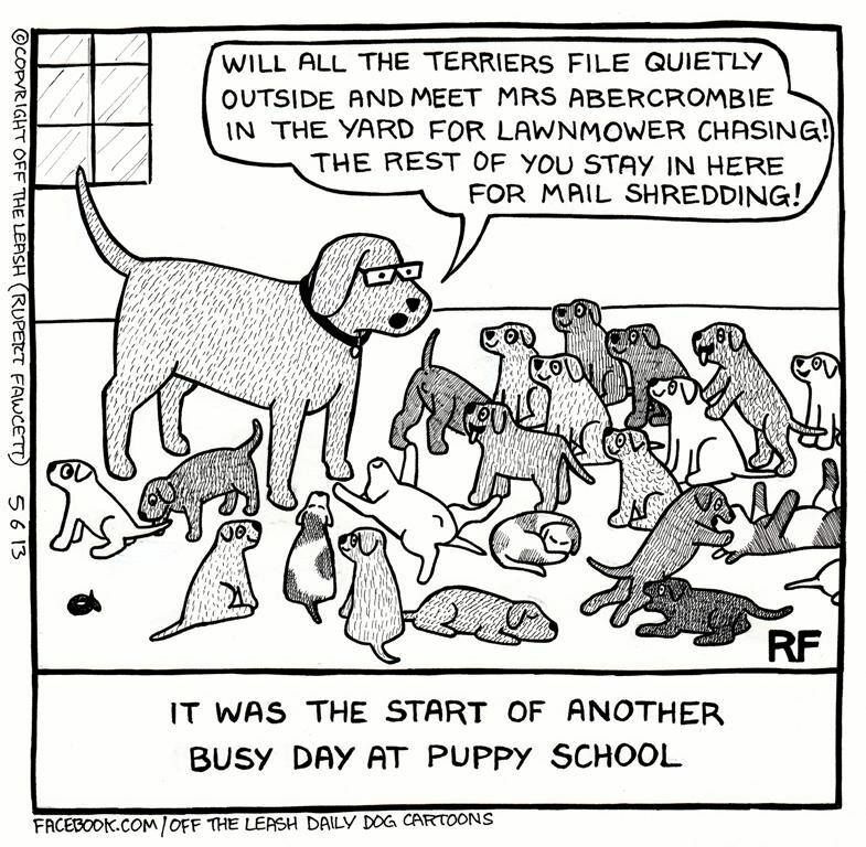 puppy school.jpg