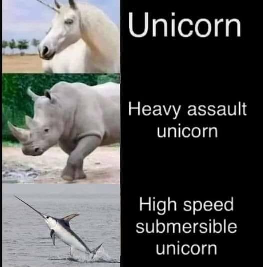 unicorns.jpg