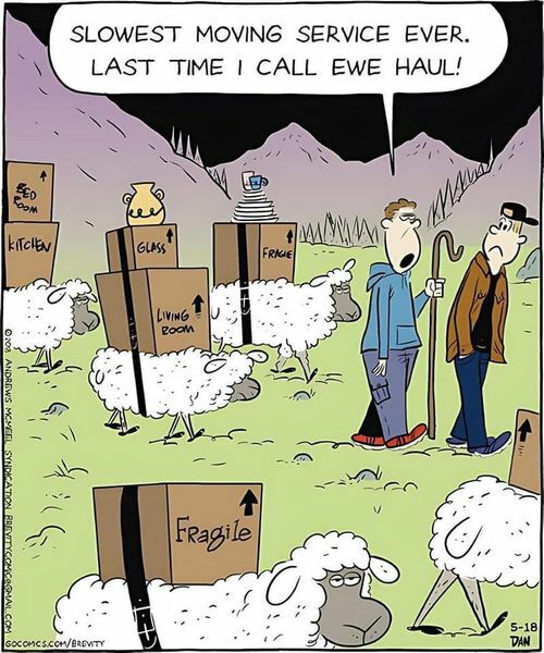 ewe haul.jpg