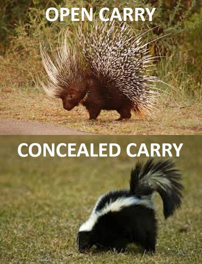conceal carry.jpg